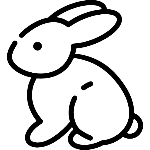coniglio