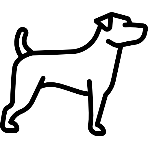 Cane